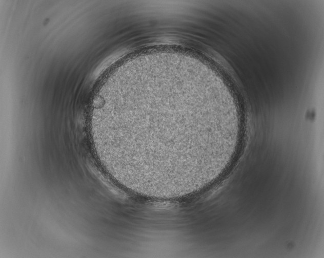 X0000112110826200909151222