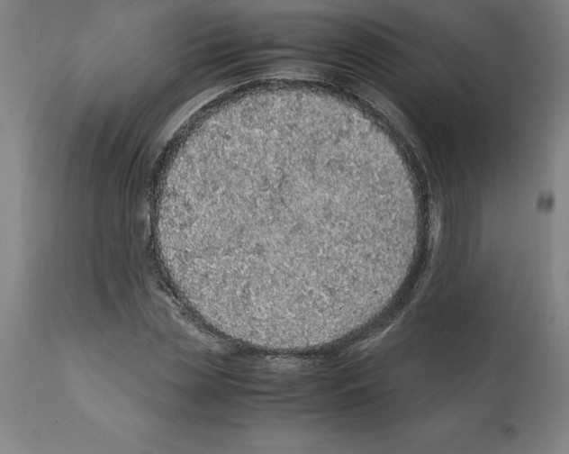 X0000112110829200909151222