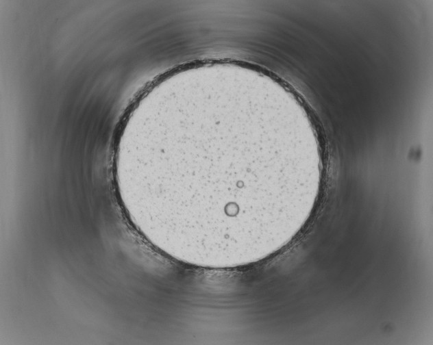 X0000112110832200909151222
