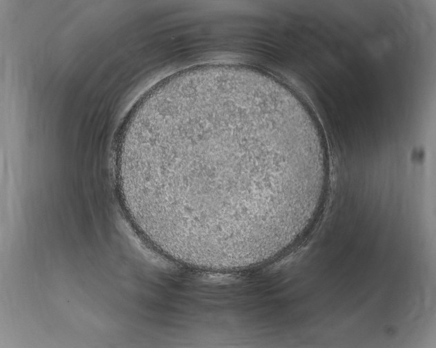 X0000112110835200909151222