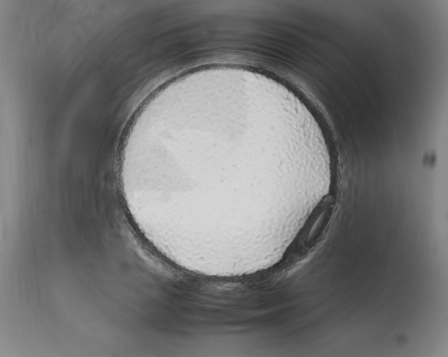 X0000112110837200909151222