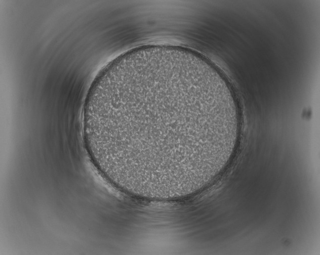 X0000112110840200909151222