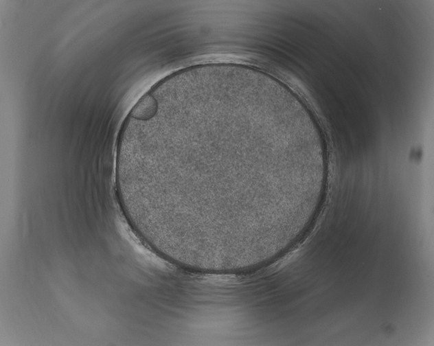 X0000112110844200909151222