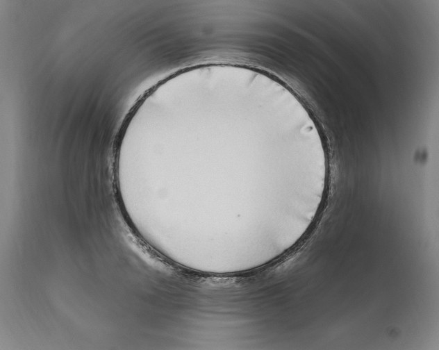 X0000112110846200909151222