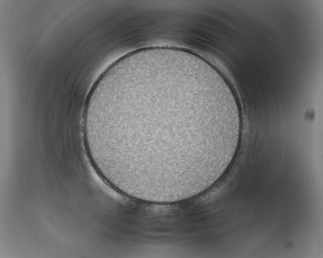 X0000112110847200909151222