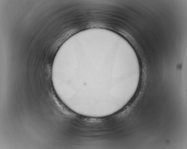 X0000112110849200909151222