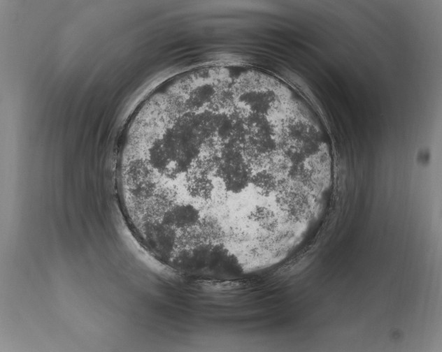 X0000112110851200909151222