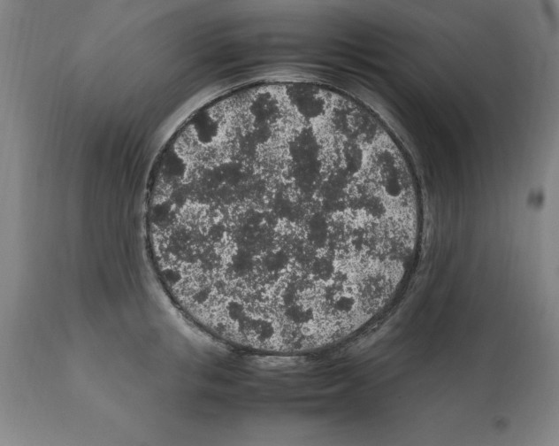 X0000112110853200909151222