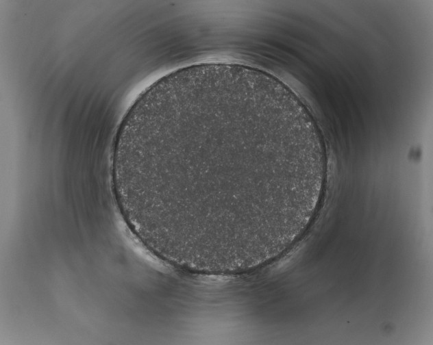 X0000112110854200909151222