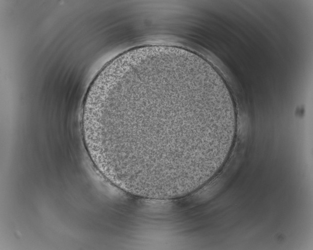 X0000112110856200909151222
