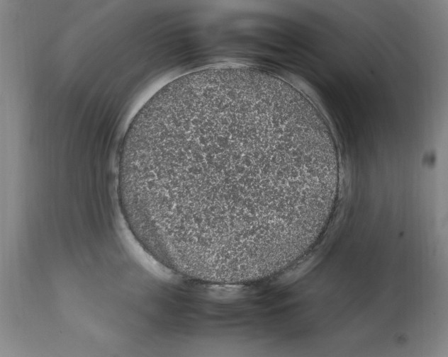 X0000112110859200909151223