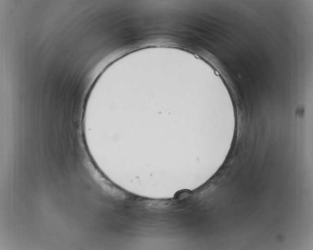 X0000112110861200909151223