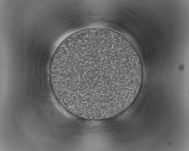 X0000112110862200909151223