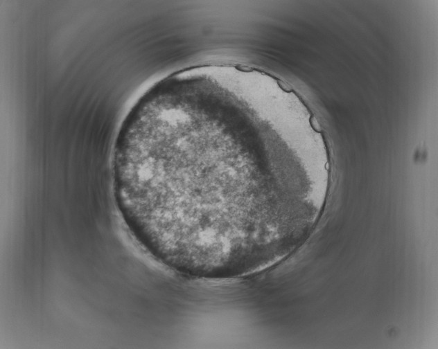 X0000112110864200909151223