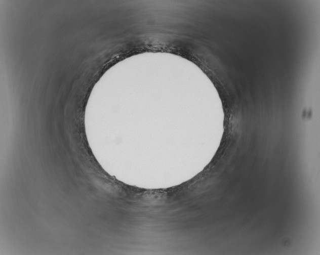 X0000112110865200909151222