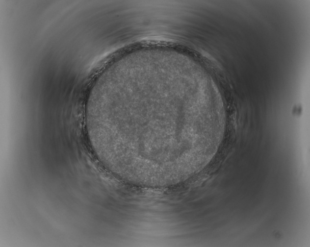 X0000112110870200909151222