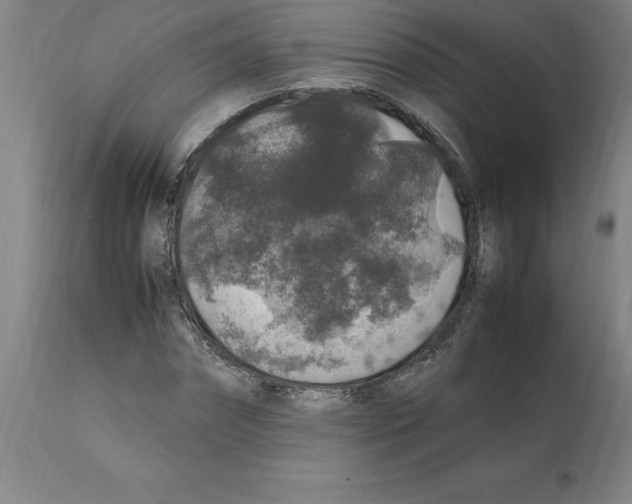 X0000112110874200909151222