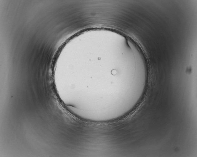 X0000112110876200909151222