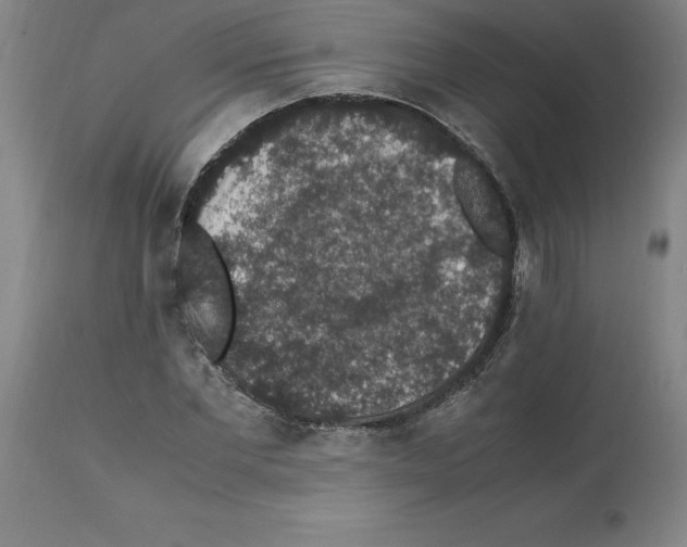 X0000112110877200909151222
