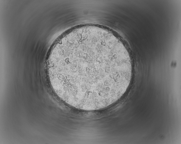 X0000112110879200909151222