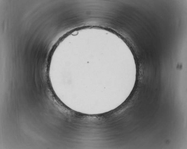 X0000112110880200909151222