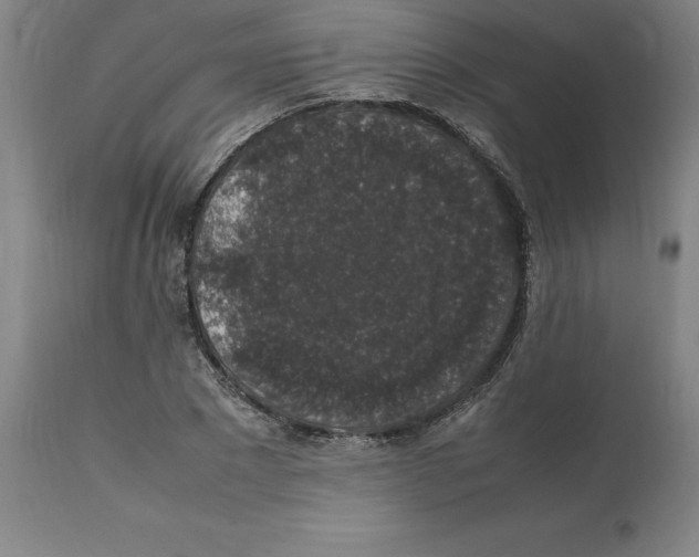 X0000112110881200909151222