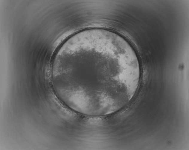 X0000112110882200909151222