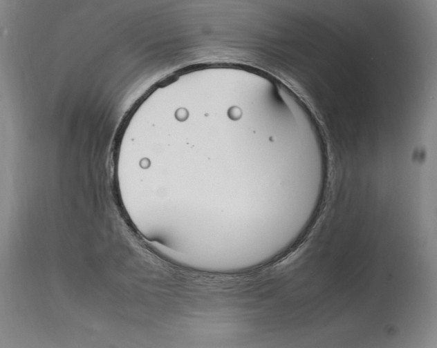 X0000112110885200909151221