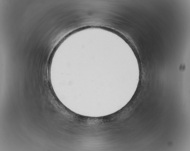 X0000112110887200909151221