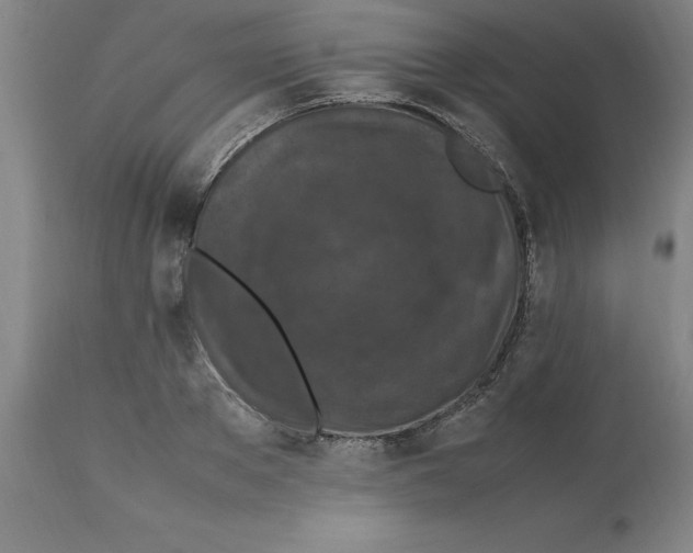 X0000112110889200909151221