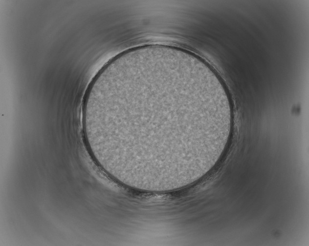 X0000112110891200909151221