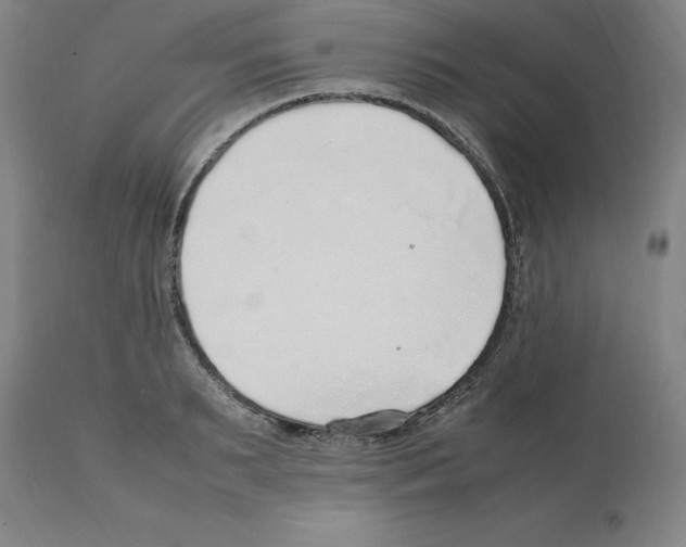 X0000112110895200909151221