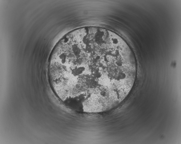 X0000112110899200909151221