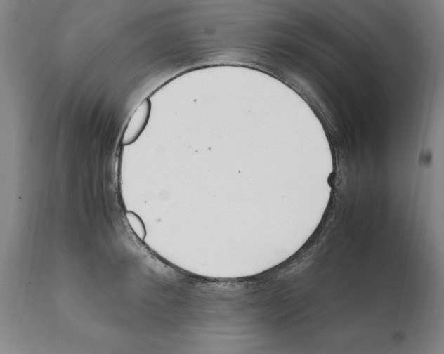 X0000112110900200909151221