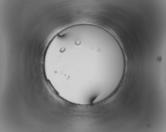 X0000112110901200909151221