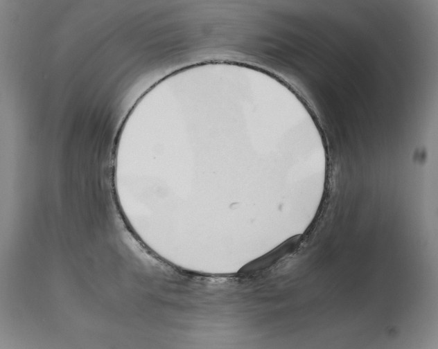 X0000112110903200909151221