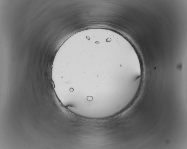 X0000112110905200909151221