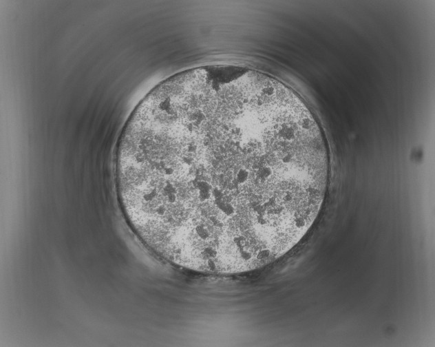 X0000112110907200909151221