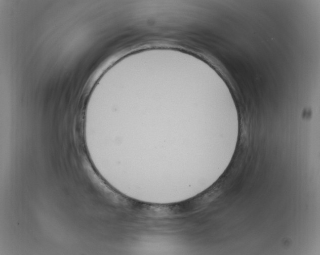 X0000112110911200909151221