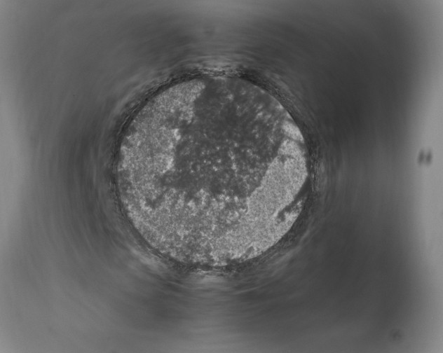 X0000112110913200909151220