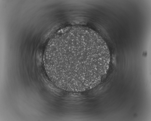 X0000112110915200909151220