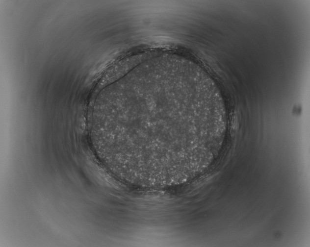 X0000112110916200909151220