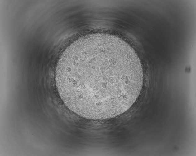 X0000112110917200909151220