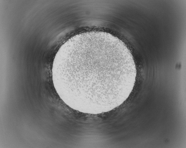 X0000112110918200909151220