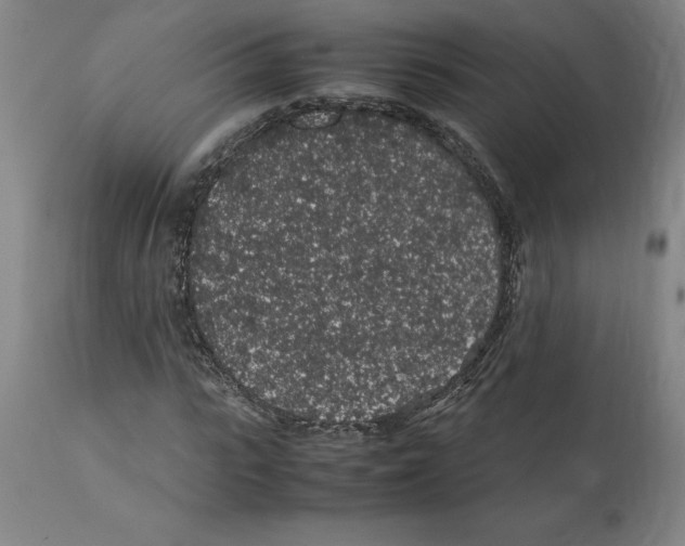 X0000112110919200909151220