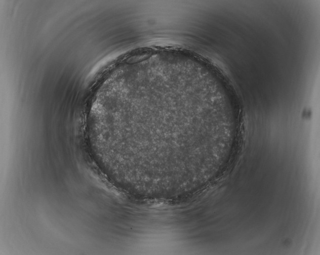 X0000112110920200909151220