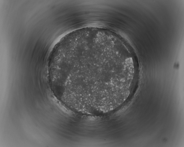 X0000112110923200909151221