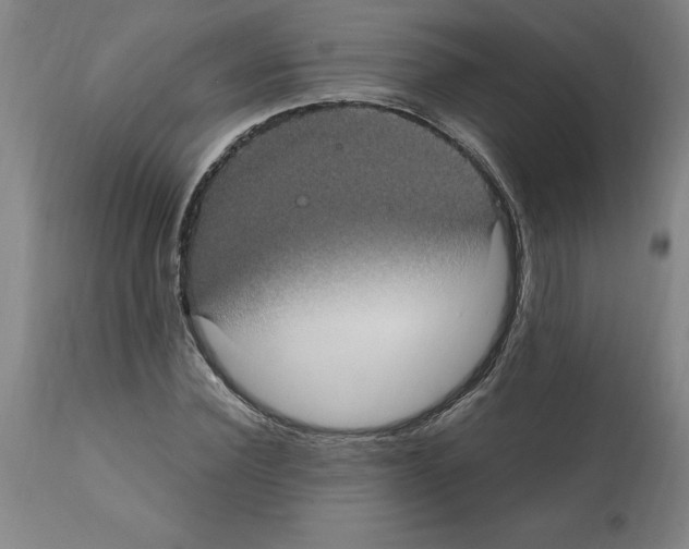 X0000112110924200909151221