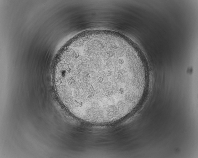 X0000112110925200909151221