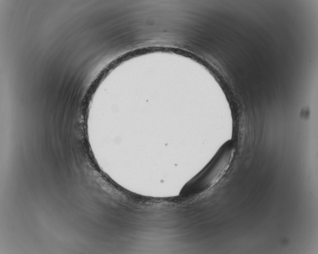 X0000112110926200909151221